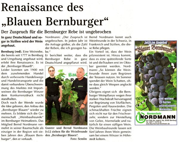 Pressebeitrag Wochenspiegel 'Renaissance des Blauen Bernburger'